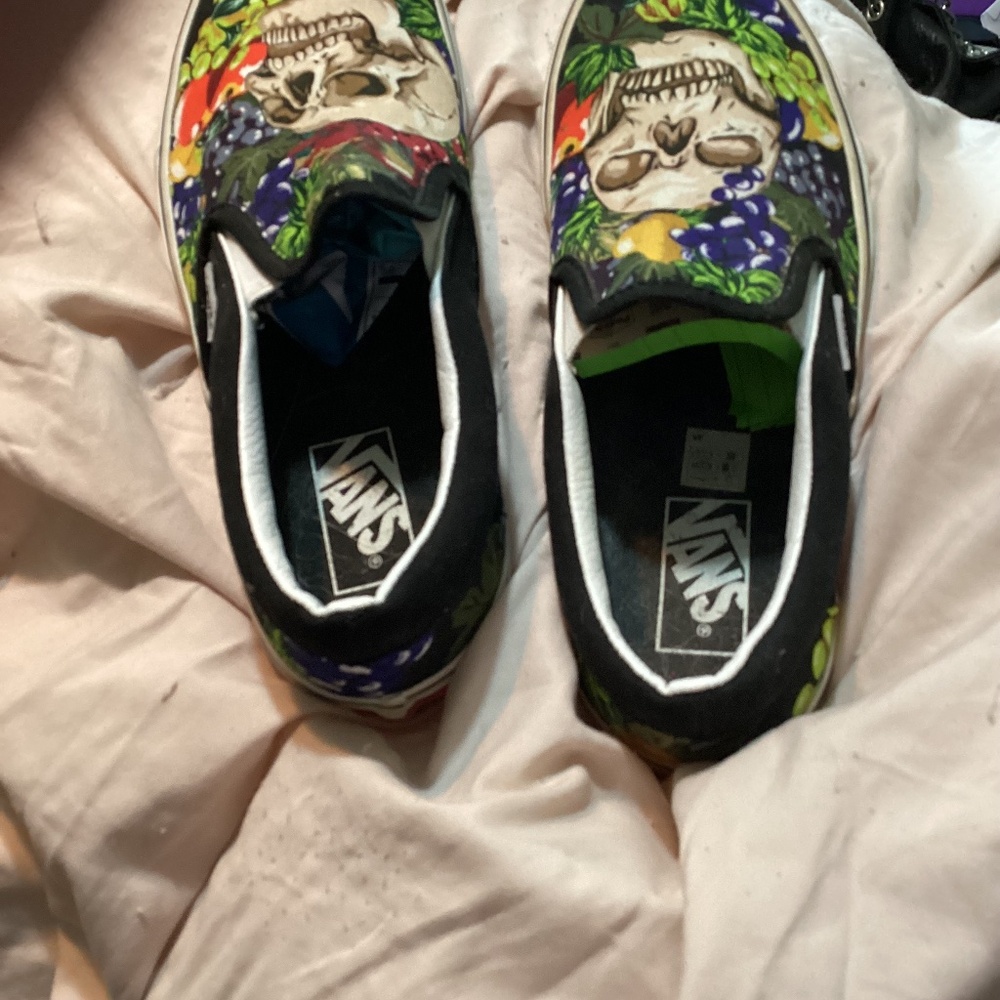 Vans size 9 Skull tennis shoes